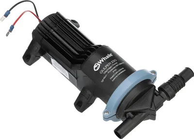 Immagine prodotto di Whale Gulper 220 Pompa per scarico doccia e acque reflue 24v Nero Nero Taglia unica