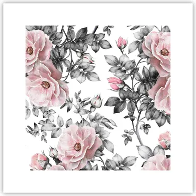Produktbild von Poster - Poster ohne Rahmen - Blumen Blätter Pflanze Rose - 30x30 cm - Wand Bild - Wanddeko - Wandbilder - Kunstposter - Wandposter - Bilder - Kunstdruck - Wanddekoration - Wandbild - P2XAC30x30-2952