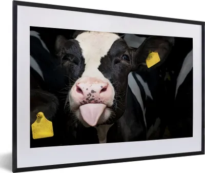 Produktbild von MuchoWow® MuchoWow® Gerahmtes Poster Kuh - Licht - Porträt 60x40 cm - Poster mit zchwarzem Bilderrahmen - Schlafzimmer - Plakat in Rahmen - Drucken