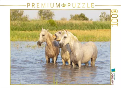 Produktbild von CALVENDO Puzzle Verschnaufpause | 1000 Teile Lege-Größe 64x48cm Foto-Puzzle für glückliche Stunden
