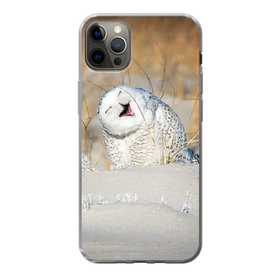 Produktbild von MuchoWow® Handyhülle Schutzhülle Hülle für iPhone 12 Pro Max Eule - Schnee - Düne Silikon Softcase Handy Hülle - Hartschale