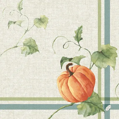 Image de Serviette Dunisoft Heritage Harvest 40x40cm 60 pcs. 1 paquet