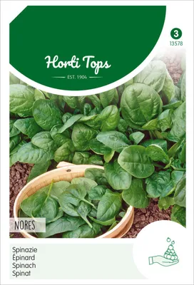Artikelbild 2 von 'Spinat Nores (50 g)' aus der Kategorie Spinatsamen