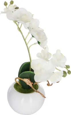 Image de Orchidée artificielle en pot, 25 cm