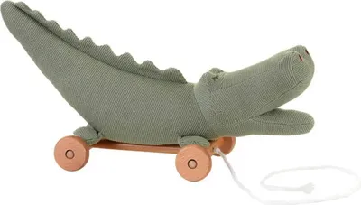 Immagine prodotto di Coccodrillo da tirare - divertimento per i piccoli avventurieri