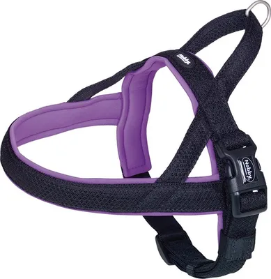 Image de Harnais Nobby NORWEGER "Mesh Preno" L : 50-64 cm + 42 cm, l : 25/35 mm violet