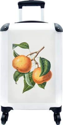 Produktbild von MuchoWow® MuchoWow® Koffer Handgepäck Trolley Rollkoffer Kleine Reisekoffer mit 4 Rollen - Früchte - Blätter - Lebensmittel - Cabin Size < 55x40x23 cm & 55x40x20 cm - Fotokoffer - Kabinenkoffer - Boar