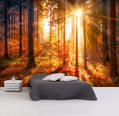 Produktbild von Basera Selbstklebende Fototapete Waldmotiv c-B-0162-a-c, mit UV-Schutz, 245x175 cm