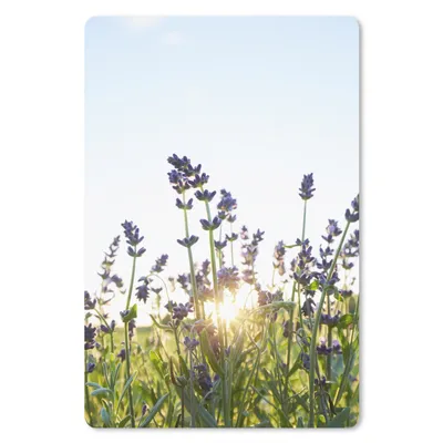 Produktbild von MuchoWow® Mauspad Mousepad Nahaufnahme von Lavendel bei Sonnenuntergang 40x60 cm - Mousepads - Maus Mat - Pad - Mausunterlage - Schreibtisch Accesoire