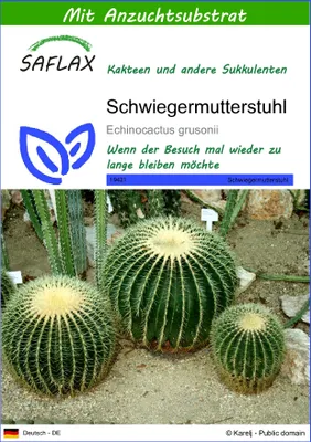 Produktbild von SAFLAX - Schwiegermutterstuhl - Echinocactus grusonii - 40 Samen - Mit keimfreiem Anzuchtsubstrat
