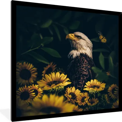 Produktbild von MuchoWow® Gerahmtes Poster Adler - Gelb - Blumen - Botanisch 40x40 cm - Poster mit Schwarzem Bilderrahmen Wandposter Rahmen Foto Bilder - Mit Rahmen - Wanddekoration Schlafzimmer