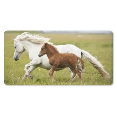 Produktbild von MuchoWow® Mauspad Mousepad Pferde - Tiere - Gras 60x30 cm - Mousepads - Maus Mat - Pad - Mausunterlage - Nachhaltig