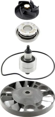 Produktbild von Reparaturkit Wasserpumpe RMS 4T für Piaggio X8 125, Gilera Runner 125 ST, OEM
