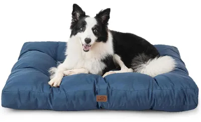 Image de Couverture pour chien, lavable, bleu foncé, 91x68x10 cm. Tapis rafraîchissant pour chien, idéal pour l'été et une utilisation en extérieur