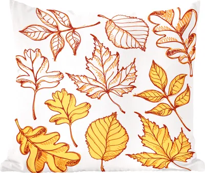 Produktbild von MuchoWow® Zierkissen Sofakissen Wohnzimmer Dekokissen 45x45 cm Herbst - Zeichnung - Blätter - Schlafpolster - Polster für das Sofa