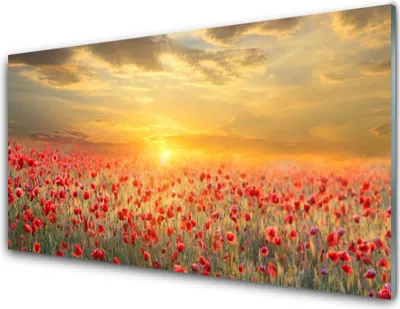 Produktbild von Acrylglasbilder 100x50 Wandbild Druck Sonne Wiese Mohnblumen Natur