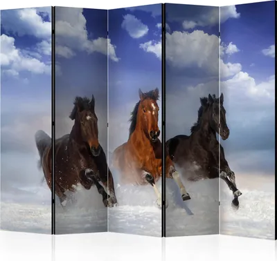 Produktbild von 5-teiliger Doppelseitiger Vlies Paravent - Horses in the Snow II 225x172 cm Tiere g-C-0078-z-c