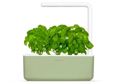 Obrázek produktu pro Click and Grow Smart Garden 3, šalvějově zelená