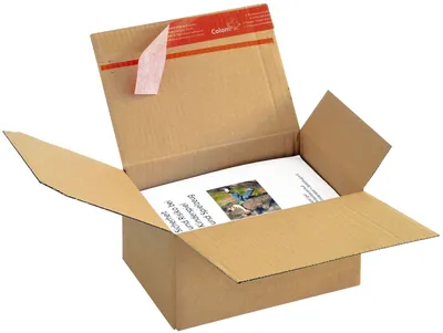 Produktbild von Blitzbodenkarton - 218x163x119mm sk. Packung mit 10 Stück