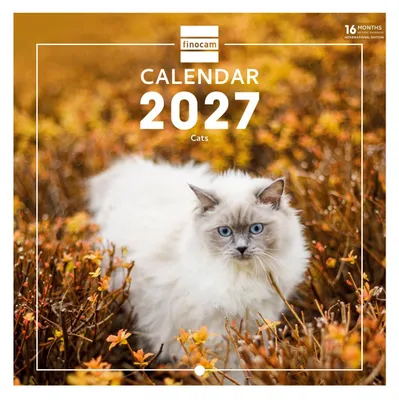 Productafbeelding van Finocam Wandkalender 2027 | Foto's van katten