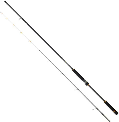 Zdjęcie produktu dla Daiwa Bg Tenya Game Bootsrute Silber 2.40 m / 15-80 g Silber 2.40 m
