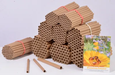 Produktbild von Papierhülsen-Set plus Samenmischung "Bienenschmaus"