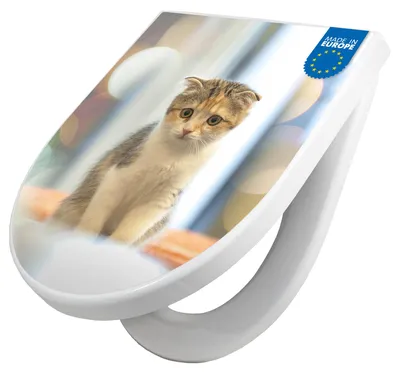 Produktbild von WC Sitz mit Absenkautomatik D Form Motiv Kleine Katze [TDW3 12791]
