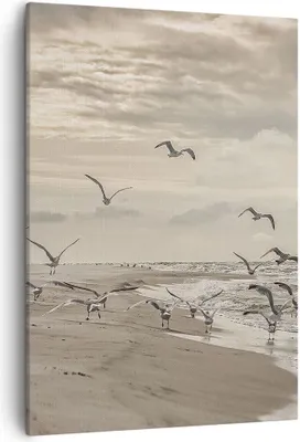 Produktbild von Bild auf Leinwand - Leinwandbild - Einteilig - Möwen Küste Boho - 50x70cm - Wand Bild - Wanddeko - Wandbilder - Leinwanddruck - Kunstdruck - Wanddekoration - Leinwand bilder - Wandbild - PA50x70-4723