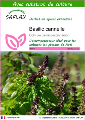 Image de SAFLAX  - Basilic cannelle - 200 graines - Avec substrat - Ocimum