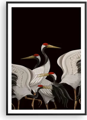 Produktbild von Gerahmtes Poster - Schwarzer Rahmen - Kraniche Vögel Grafiken - 70x100 cm - Wand Bild - Wanddeko - Wandbilder - Kunstposter - Wandposter - Bilderrahmen - Bilder - Kunstdruck - P2BPA70x100-4748