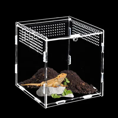 Zdjęcie produktu dla Akrylowe terrarium, mini terrarium, wymiary: 15 x 15 x 15 cm