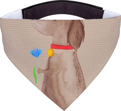 Produktbild von Mr. & Mrs. Panda Halstuch Für Hunde Hund Blume - Hundeglück - Geschenk, Sprüche, Hundeliebe, Bandana, Schal