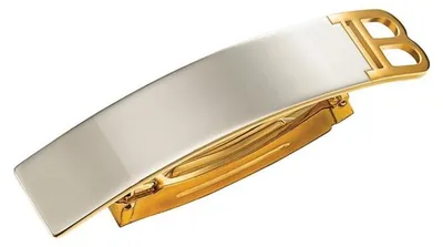 Image de Balmain, Balmain, barrette, argent/or