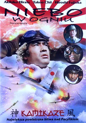 Produktbild von Niebo w ogniu [DVD]