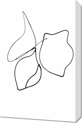 Produktbild von Bild 40x60cm Kreśla 2 Minimalistisch, Interieur Skandinavisch Stil, Boho