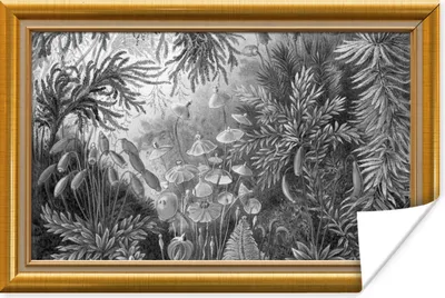 Produktbild von MuchoWow® Poster Kunstwerke - Alte Meister - Rahmen - Gold 60x40 cm - Schlafzimmerdekoration