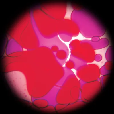Produktbild von Projektor Effektlinse violett-rot, Space Projector