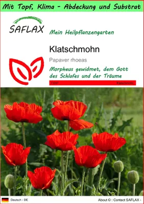 Produktbild von SAFLAX Garden to go - Klatschmohn - Papaver rhoeas - 27000 Samen - Mit Topf, Klima - Deckel und Anzuchtsubstrat