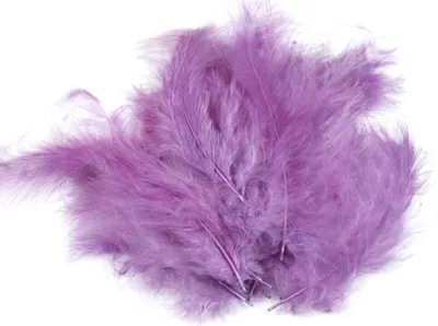 Produktbild von 15-20 Flaumfedern 09-17cm gefärbt Bastelfedern Schmuckfedern Feder Farbwahl, Größe:09 - 17 cm, Farbe:19 violett