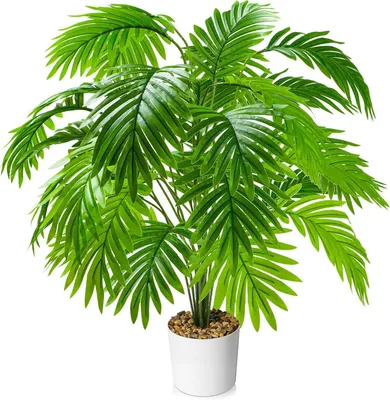Obrázek produktu pro Umělá palma, výška 75 cm, 24 listů, vhodná do obývacího pokoje