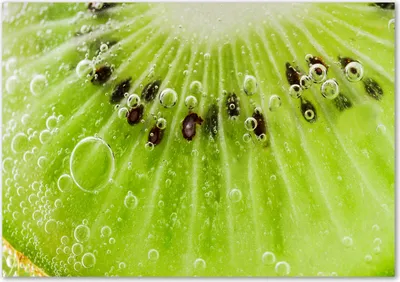 Produktbild von Tulup® Glas-Bild - 100 x 70 - Wandbild aus Glas - Wandkunst - Wandbild hinter gehärtetem Sicherheitsglas - Essen & Getränke - Kiwi - Grün