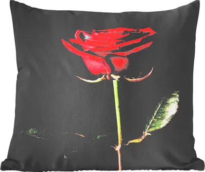 Produktbild von MuchoWow® Zierkissen Sofakissen Wohnzimmer Dekokissen 45x45 cm Eine rote Rose auf schwarzem Hintergrund - Schlafpolster - Polster für das Sofa