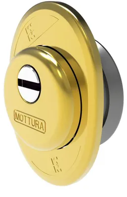 Immagine prodotto di defender per porte blindate mottura h. 22 mm - col. oro