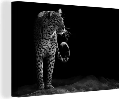 Produktbild von OneMillionCanvasses® - Leinwandbilder - 150x100 cm, Wildtiere - Leopard - Natur - Schwarz - Weiß, Wandbilder Kunstdruck Wanddekoration - Foto auf