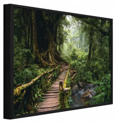 Produktbild von Bilder mit Rahmen Wald Bäume Natur - 120x80 cm - Wandbilder Wohnzimmer Schlafzimmer - Leinwand Bilder mit Rahmen Grün - PPR15752O20
