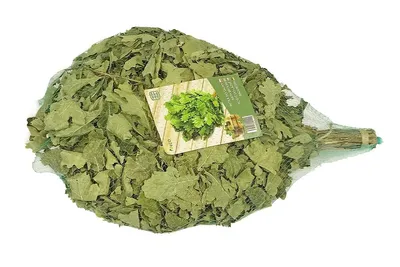 Obrázok produktu pre Sada 10× saunová metlička z kanadského dubu