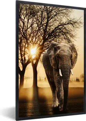 Produktbild von MuchoWow® MuchoWow® Gerahmtes Poster Elefant - Baum - Sonne 60x90 cm - Poster mit zchwarzem Bilderrahmen - Kunst