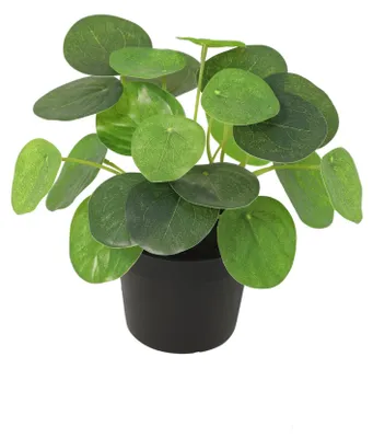 Produktbild von Künstliche Pilea peperomioides 17 5cm Kunstpflanze Ufopflanze für Wohnzimmer