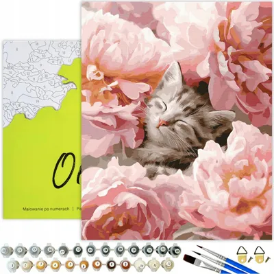 Immagine prodotto di Dipingere con i numeri Adulti e bambini Animali Gatto Peonie 50x40 - 27 colori acrilici, tela con telaio in legno, 3 pennelli e accessori Oh Art!