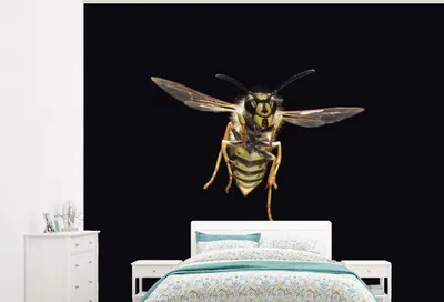 Produktbild von MuchoWow® Fototapete für Wohnzimmer oder Schlafzimmer Wandtapete Vinyl Motivtapete Wespe - Insekten - Porträt - 375x300 cm - Tapezierpapier